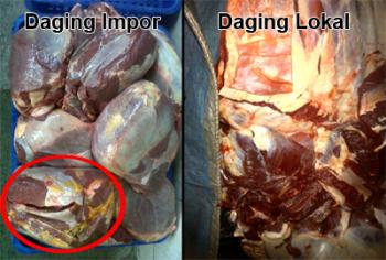 Daging Impor Berasal dari Sapi Betina